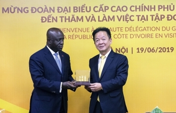 T&T Group sẽ đầu tư các nhà máy vệ tinh chế biến điều tại Bờ Biển Ngà