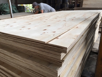 Hoa Kỳ khởi xướng điều tra chống lẩn tránh thuế gỗ dán Việt Nam