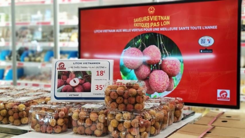 Đơn hàng tăng 20%, xuất khẩu rau quả cầm chắc 3,6 tỷ USD