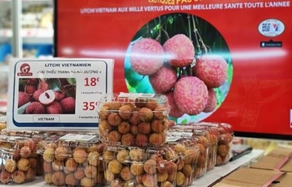 Đơn hàng tăng 20%, xuất khẩu rau quả cầm chắc 3,6 tỷ USD