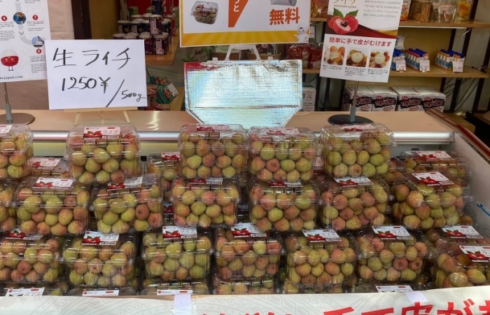 Vải tươi Việt Nam lần đầu xuất hiện tại Lễ hội Việt Nam tại Tokyo