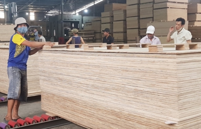 Gỗ dán sử dụng lõi nguyên liệu là ván bóc Trung Quốc sẽ bị Hoa Kỳ áp thuế