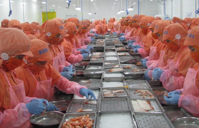 “Xoá sổ” bất cập sản lượng, giá thành lấy đà xuất khẩu tôm 10 tỷ USD