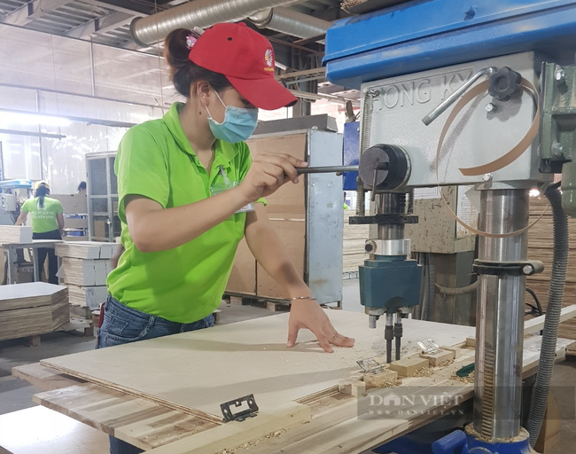 Doanh nghiệp gỗ đầy áp lực khi thực hiện “3 tại chỗ” vẫn bùng dịch