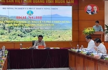 Hơn 50.000 tỷ đồng phát triển lâm nghiệp giai đoạn 2016 - 2020