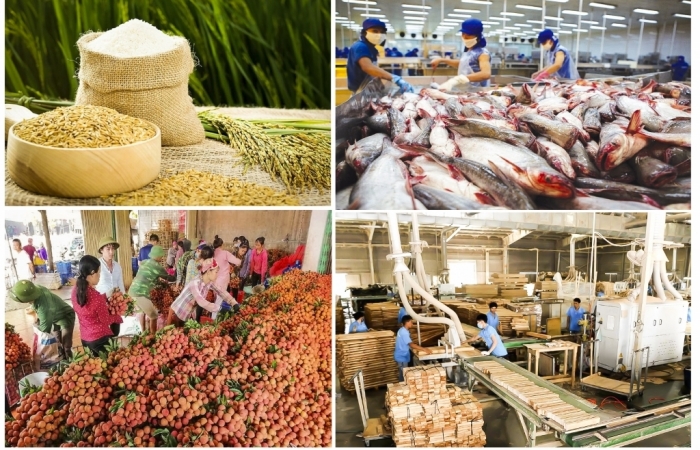 Ngành nông nghiệp xuất siêu ấn tượng gần 6,3 tỷ USD