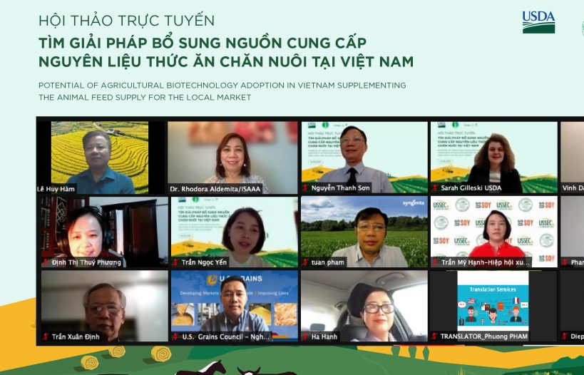 Đứng đầu ASEAN về thức ăn chăn nuôi, Việt Nam vẫn chi hàng tỷ USD nhập khẩu