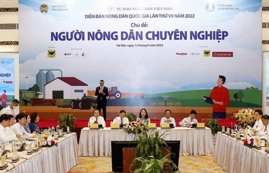 “Bắt tay” doanh nghiệp làm hàng xuất khẩu, nông dân tăng chuyên nghiệp