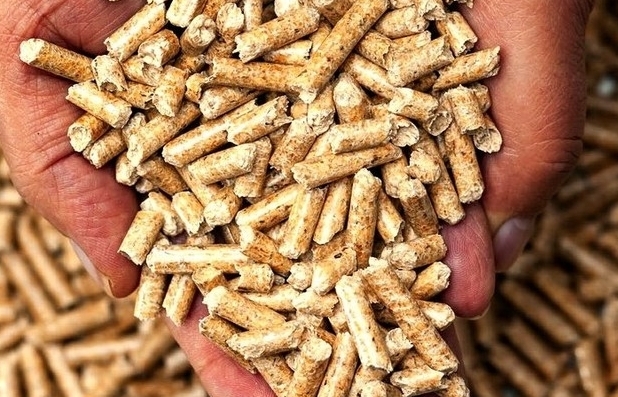 EU, Nhật Bản tăng mua, xuất khẩu viên nén dễ "bỏ túi" 700 triệu USD