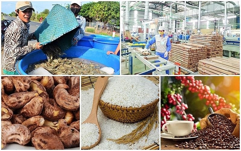 Xuất khẩu nông sản thu về hơn 40 tỷ USD trong 9 tháng