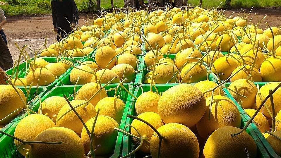 Ảnh: Nguyễn Thanh Ảnh: Nguyễn Thanh