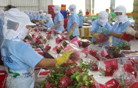 Đại sứ, doanh nghiệp “hiến kế” xuất khẩu thành công rau quả vào EU