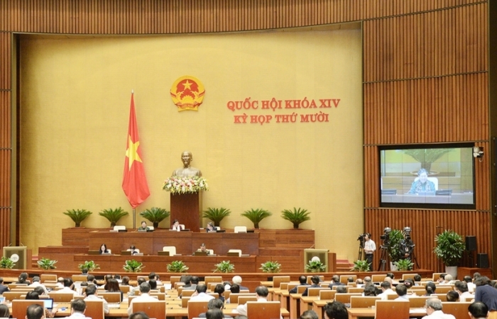 Dự án Luật Phòng, chống ma túy (sửa đổi): Mới giải quyết phần ngọn?