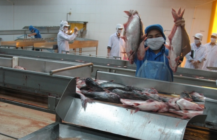Nhiều quy định mới nhằm quyết liệt gỡ "Thẻ vàng" IUU