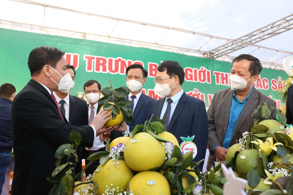 50 doanh nghiệp lớn chung tay tiêu thụ nông sản cho Bắc Giang