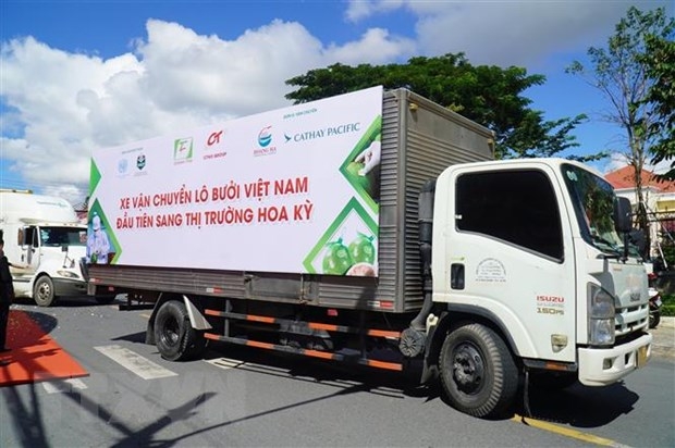 Chính thức xuất khẩu lô bưởi đầu tiên sang Hoa Kỳ