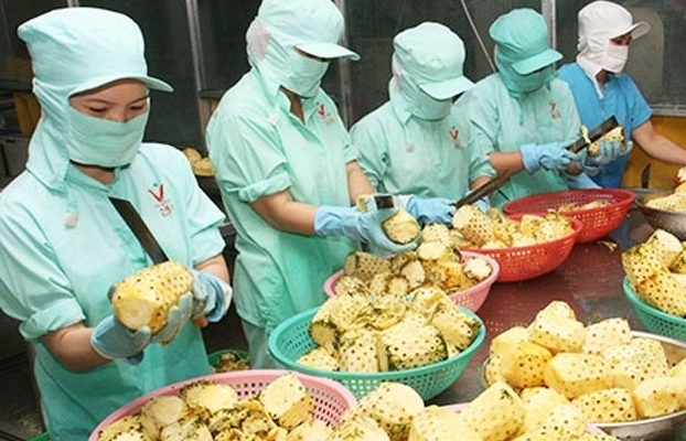 Hơn 1.000 mã nông sản, thực phẩm được phép xuất khẩu vào Trung Quốc