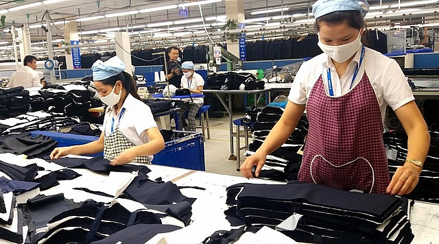 Tỷ lệ doanh nghiệp thành lập mới có có vốn trên 100 tỷ đồng tăng cao