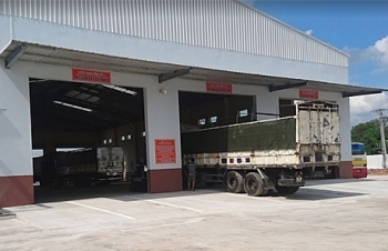 Một Trung tâm Đăng kiểm bị thu hồi giấy phép vì cấp khống giấy đăng kiểm