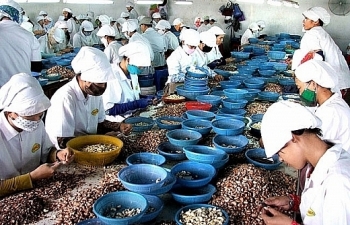 Bộ luật Lao động mới của Việt Nam giúp người lao động hưởng lợi công bằng