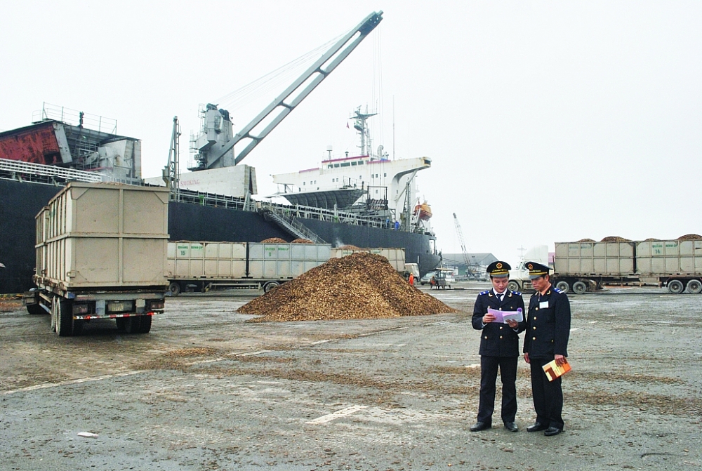 Công chức Hải quan cảng Vũng Áng (Hà Tĩnh) kiểm tra giám sát hàng hóa tại cảng. 	Ảnh: M.Hùng