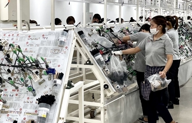 OECD: Kinh tế Việt Nam sẽ đạt mức tăng trưởng 6,5% năm 2023 và 6,6% năm 2024
