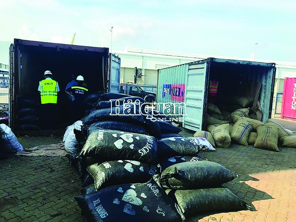 Hạt điều nhập khẩu tại cảng quốc tế Cái Mép (CMIT), Bà Rịa-Vũng Tàu. Ảnh: Thu Hòa Hạt điều nhập khẩu tại cảng quốc tế Cái Mép (CMIT), Bà Rịa-Vũng Tàu. Ảnh: Thu Hòa