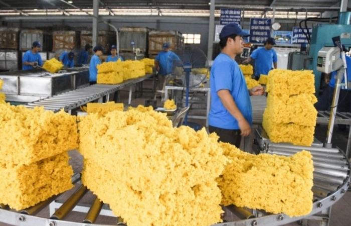 Xuất khẩu cao su tháng 6 tăng 50,4% về trị giá