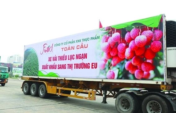 Doanh nghiệp mở rộng thị trường xuất khẩu hàng hóa qua thương mại điện tử