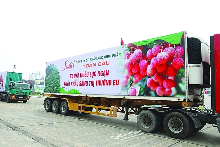 Thương mại điện tử xuyên biên giới chính là một trong những yếu tố giúp vải thiều Bắc Giang xuất khẩu sang nhiều quốc gia trên thế giới. 	Ảnh: TL