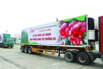 Doanh nghiệp mở rộng thị trường xuất khẩu hàng hóa qua thương mại điện tử