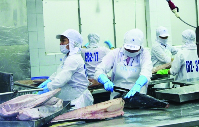 Bị áp thuế cao, doanh nghiệp cá ngừ lo mất thị phần tại Mỹ