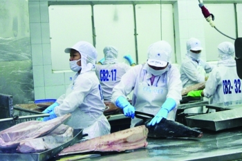 Xuất khẩu cá ngừ sang Israel giảm gần 50%