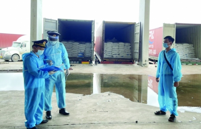 Hải quan Quảng Trị: Đảm bảo xuất nhập khẩu thông suốt trong dịch bệnh