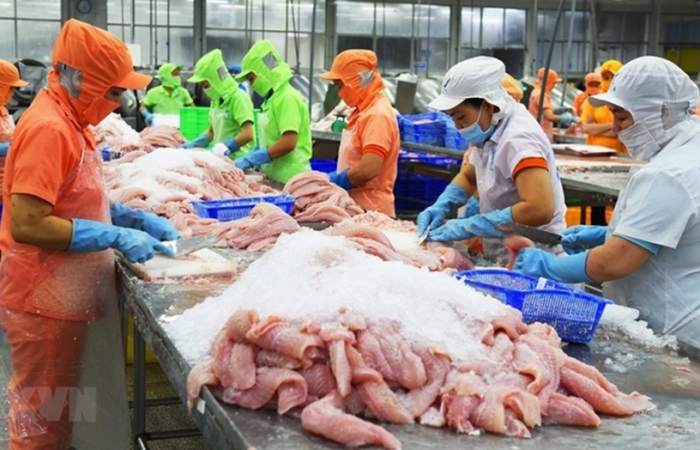 Khuyến cáo doanh nghiệp về khó khăn trong thanh toán khi xuất khẩu sang Pakistan