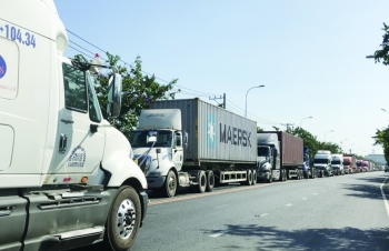 TP. Hồ Chí Minh: Gần 8.000 tỷ đồng phí hạ tầng cảng biển được sử dụng như thế nào?