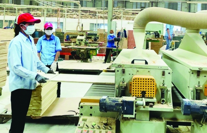 Đột phá thể chế để kinh tế vượt lên sau khủng hoảng
