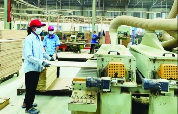 Bàn giải pháp tháo gỡ vướng mắc trong hợp chuẩn, hợp quy hàng hóa