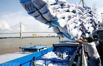 Nhiều nước hạn chế xuất khẩu lương thực trong mùa dịch COVID-19