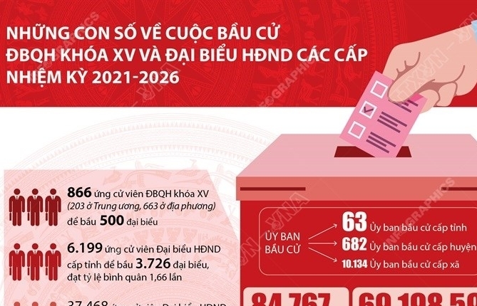 Những con số về cuộc bầu cử ĐBQH khóa XV và đại biểu HĐND các cấp