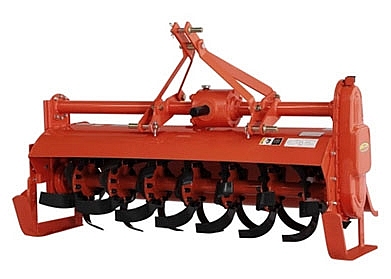 dan cay co thue nk 20