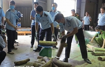 Tổng cục trưởng tặng giấy khen cho 5 công chức Hải quan Đà Nẵng