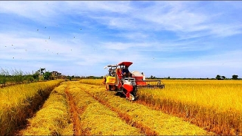 Miễn thuế sử dụng đất nông nghiệp không ảnh hưởng đến công tác thu ngân sách