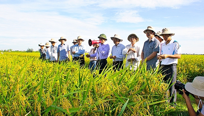 du kien muc chi kinh phi su nghiep thuc hien hoat dong khuyen nong