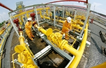 pv gas trien khai nhieu hoat dong xa hoi y nghia nhan ngay phu nu