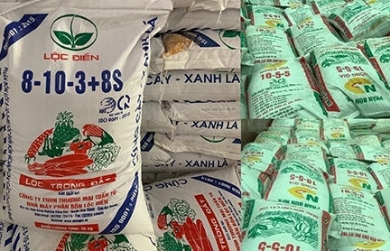 Dự kiến điều chỉnh quy định về thuế để hỗ trợ doanh nghiệp sản xuất phân bón
