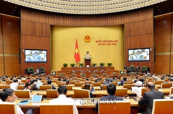 Đại biểu Quốc hội: Chính phủ rất cẩn trọng trong soạn thảo Dự thảo Nghị quyết xóa tiền phạt chậm nộp