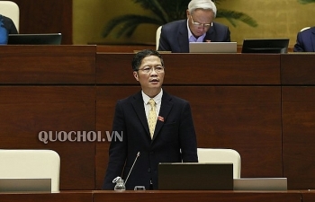 Tạm dừng giấy phép kinh doanh của doanh nghiệp nhập khẩu ô tô có đường lưỡi bò