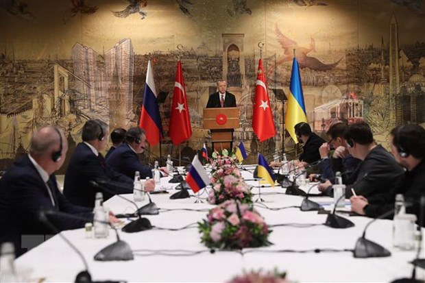 Nga va Ukraine tiep tuc hoa dam theo hinh thuc truc tuyen vao ngay 1/4 hinh anh 1