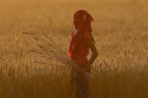 Kinh tế châu Á có thể &quot;bỏ xa&quot; các nước phát triển tới 5% vào cuối năm | Kinh tế | Vietnam+ (VietnamPlus)